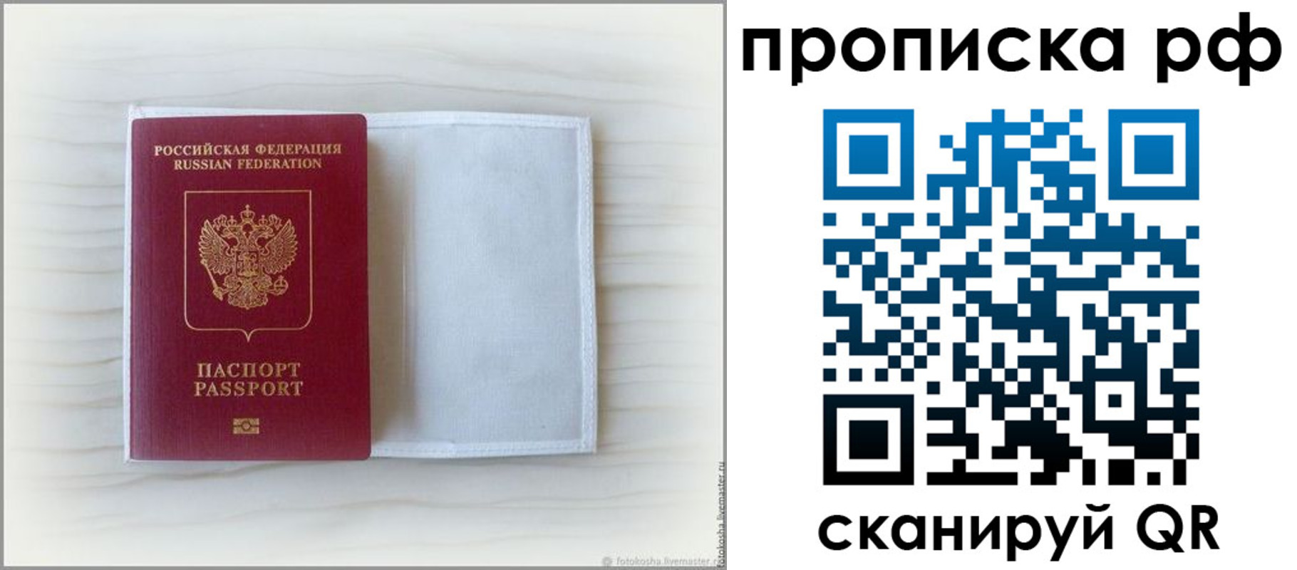 где прописаться в Курской области